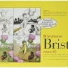 Strathmore 300 Series Bristol Paper, 11 X 17 Inches, 100 Lb, 24 Sheets -Books - Literature Shop 1329644 ecommfullsize