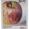 Sax Watercolor Pad, 140 Lb, 18 X 24 Inches, White, 12 Sheets