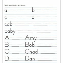 Essential Learning Products Learning Manuscript Writing Workbook, Grade 1 -Books - Literature Shop 2020957 E ecommfullsize