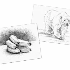 Pacon Art1st Sketch Diary, 8-1/2 X 11 Inches, White, 70 Sheets -Books - Literature Shop 2024288 C ecommfullsize