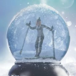 Saddleback Educational Publishing Monarch Jungle Sample Set -Books - Literature Shop 2026742 G ecommfullsize