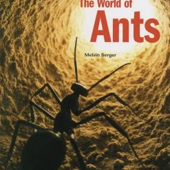 Childcraft Exploring Nature Big Books For Kids, Ages 4 To 8, Set Of 5 -Books - Literature Shop 205841 B ecommfullsize