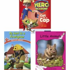 Achieve It! Multipublisher Guided Reading Level B: Class Pack, Grade K, Set Of 96