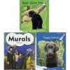 Achieve It! Multipublisher Guided Reading Level G : Variety Pack, Grade 1, Set Of 16 -Books - Literature Shop 2097353 A ecommfullsize 1