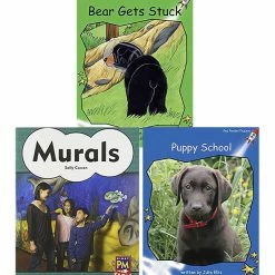 Achieve It! Multipublisher Guided Reading Level G : Variety Pack, Grade 1, Set Of 16