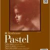 Strathmore 400 Series Pastel Pad, 11 X 14 Inches, 80 Lb, 24 Sheets 1 Strathmore 400 Series Pastel Pad, 11 X 14 Inches, 80 Lb, 24 Sheets -Books - Literature Shop 234429 ecommfullsize