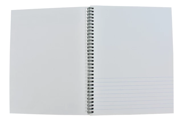 Sax Sketch 'N Write Spiral Binding Sketchbook, 20 Lbs, 8-1/2 X 11 Inches, 50 Sheets 7 Sax Sketch 'N Write Spiral Binding Sketchbook, 20 Lbs, 8-1/2 X 11 Inches, 50 Sheets - Image 5